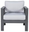 Amora - Charcoal Gray - Lounge Chair w Cushion (Set of 2) Supply