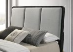 Arini - Upholstered Panel Bed Hot on Sale