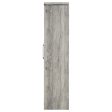 Alejo - 2 Door Engineered Wood Tall Cabinet - Gray Driftwood For Discount