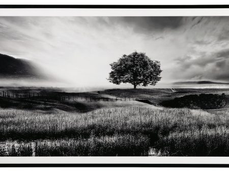 Deborland - Black   White - Wall Art Online