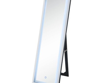 Nyoka - Floor Mirror - Mirrored Supply