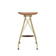 Dragea - Bar Stool (Set of 2) - Whiskey PU & Gold Fashion