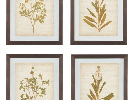 Dyani - Brown - Wall Art Set (Set of 4) Cheap