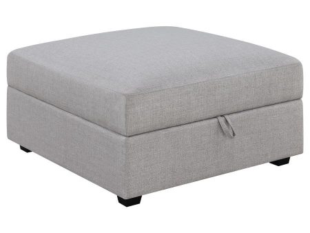 Cambria - Square Upholstered Storage Ottoman - Gray For Sale